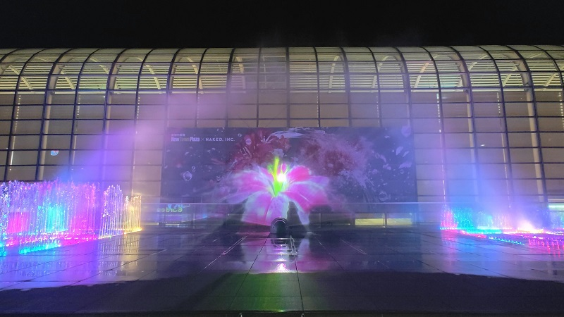 香港沙田新城市广场「花开结缘·风生水起」迎新春  